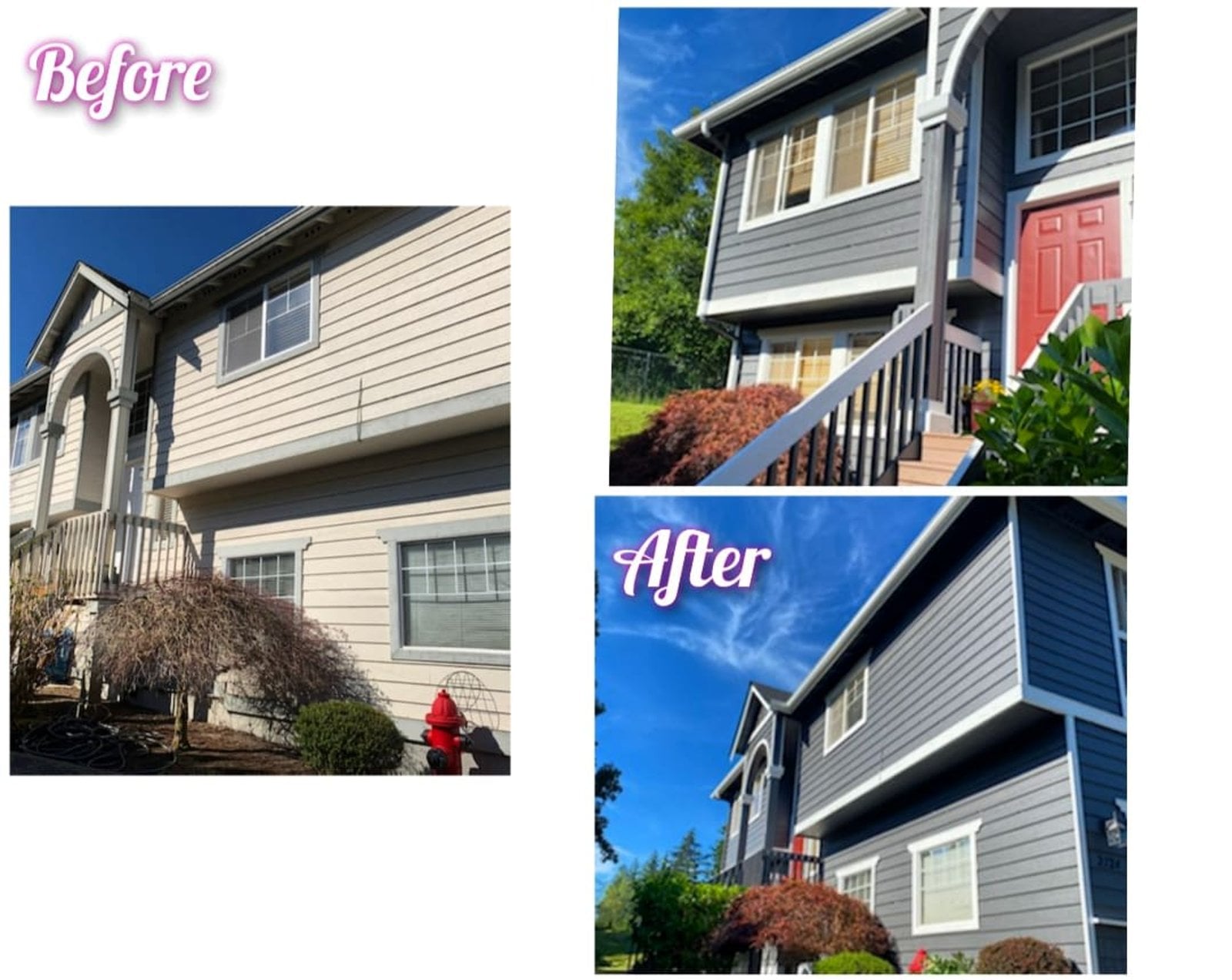 Two-story exterior siding repaint in Snohomish County WA, with faded beige siding transformed into bold navy blue with fresh white trim and a red door accent
